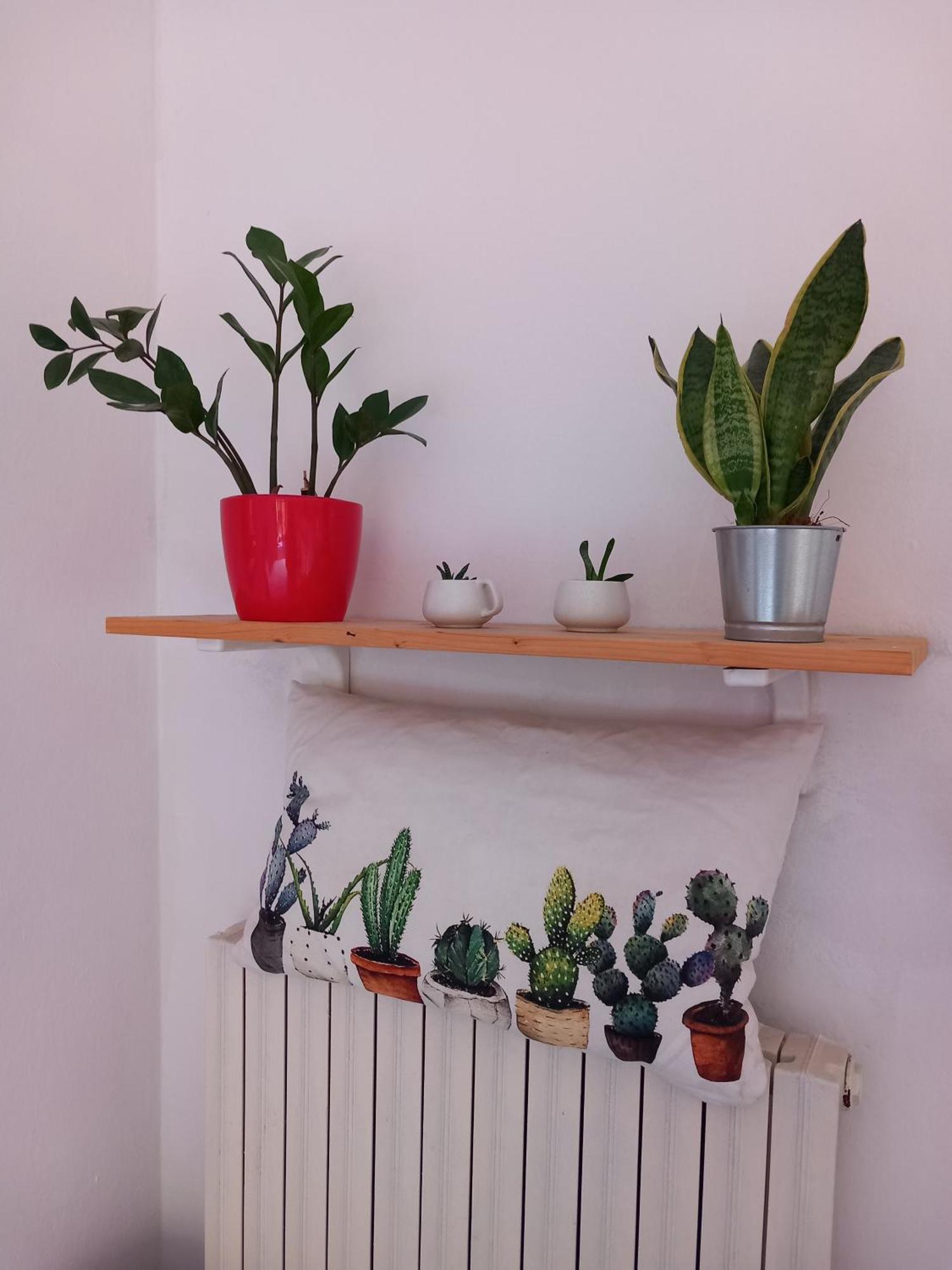 카스텔산피에트로테르메 A Casa Di Sara 아파트 외부 사진